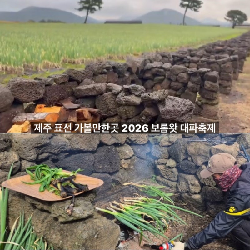 추석 여행지 제주 표선 가볼만한곳 아이와 제주도 여행 보롬왓 대파축제
