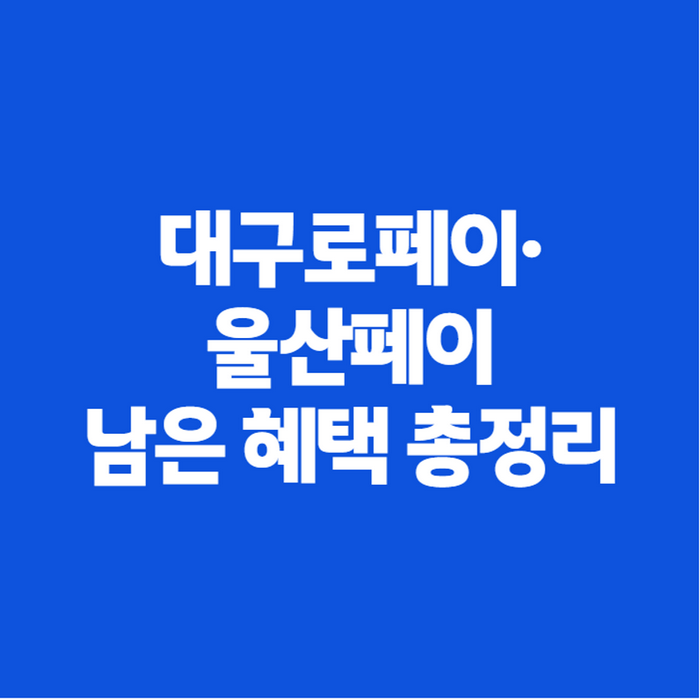 대구·울산 전통시장 온누리 환급 끝났다고? 대구로페이·울산페이 남은 혜택 총정리