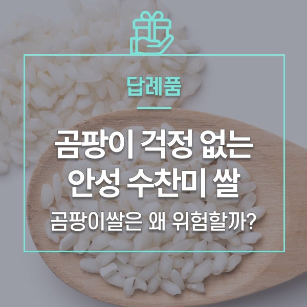 우리집 쌀은 안전할까? 곰팡이쌀 구별법 총정리! 쌀 유통기한까지