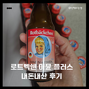 코스트코 로트벡쉔 이뮨 플러스 가격 구성 맛 직접 먹어본 후기