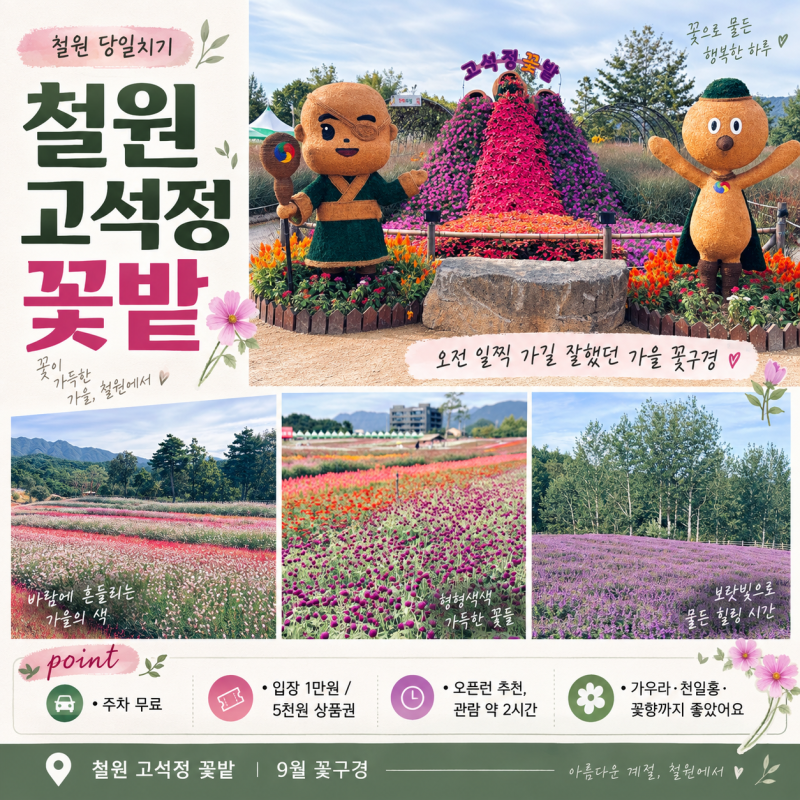 철원 고석정 꽃밭 9월 오픈런 후기｜주차·입장료·2시간 관람