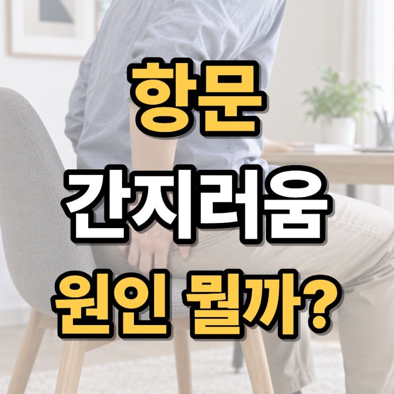 항문 간지러움 원인 총정리 가려움·습진·치질 가능성까지 알아보기