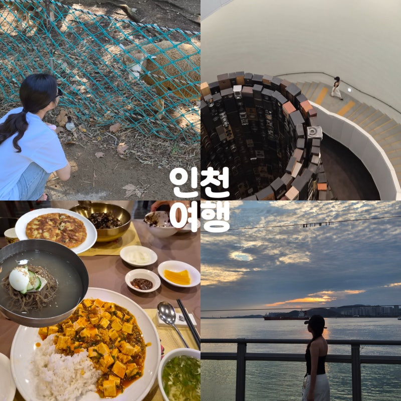 A Packed 2-Day Incheon Travel Itinerary After Watching a Baseball Game