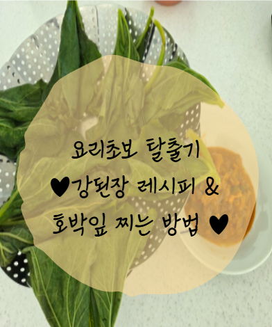 [요리초보탈출기]강된장 만들기 & 호박잎 찌기 / 입맛당기는 강된장 레시피