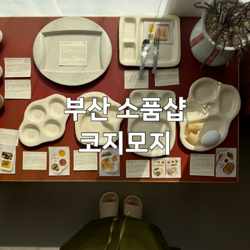 부산 광안리 소품샵ㅣ고양이 사장님이 운영하는 코지모지