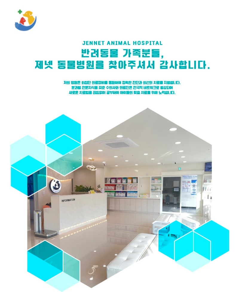 뚜렷한 증상이 없어 더 놓치기 쉬운 고양이 췌장염 이야기