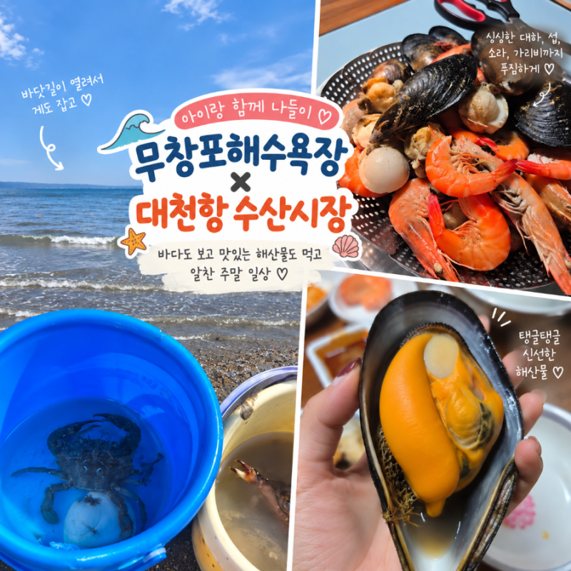 무창포해수욕장 아이랑 해루질 체험｜대천항 수산시장 해산물 포장 후기