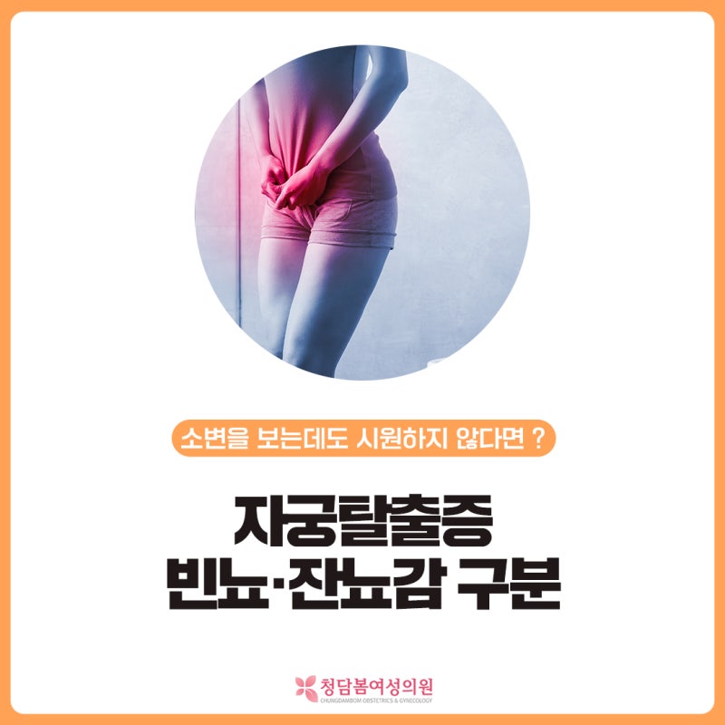 소변을 자주 보는데도 시원하지 않다면 | 자궁탈출증과 빈뇨·잔뇨감 구분이 필요한 이유