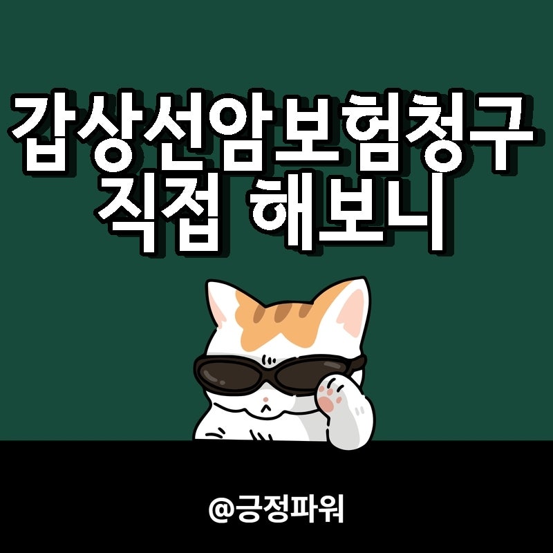갑상선암 진단 후 보험금 청구, 직접 확인하고 준비한 것들