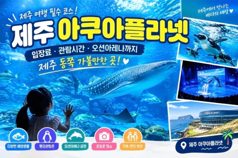 「제주 아쿠아플라넷｜입장료·관람시간·오션아레나까지 제주 동쪽 가볼만한 곳」
