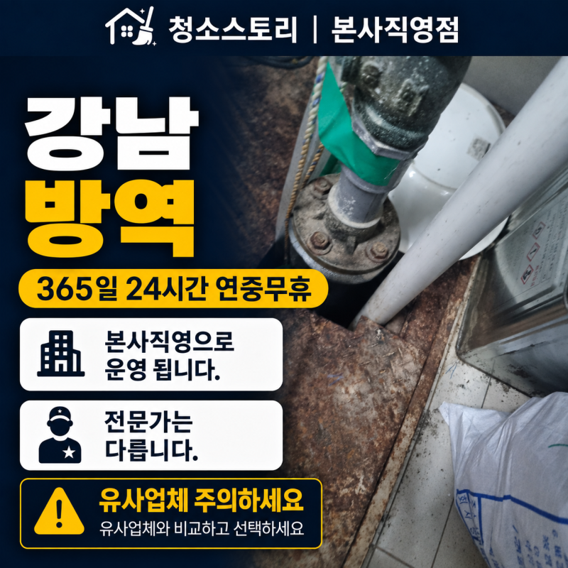 강남 방역 나방파리 가능합니다!