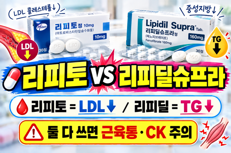 [HL] 리피토정 vs 리피딜슈프라정 차이｜Atorvastatin·Fenofibrate, LDL과 TG는 어떻게 다를까?