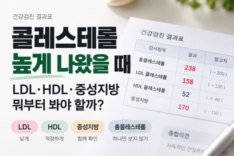 건강검진 콜레스테롤 높게 나왔을 때, LDL·HDL·중성지방 뭐부터 봐야 할까?