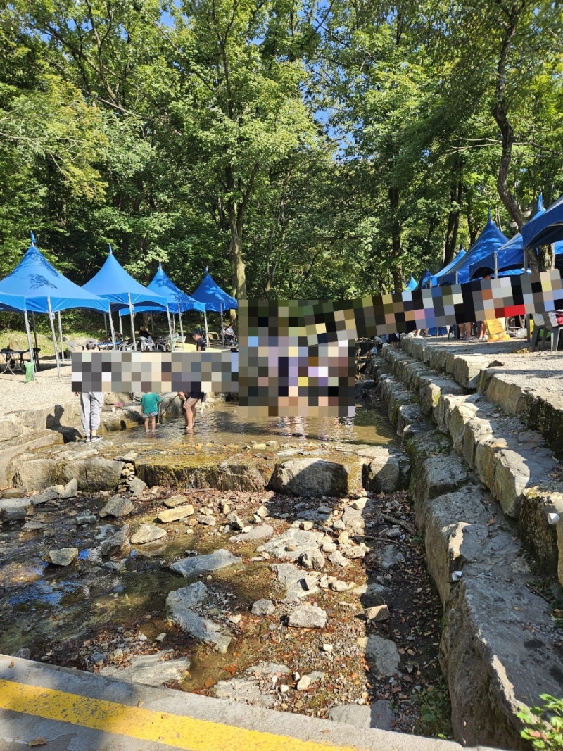 서울대공원 캠핑장 피크닉장 후기｜취소표 예약 꿀팁부터 주차, 4살 아이와 당일치기