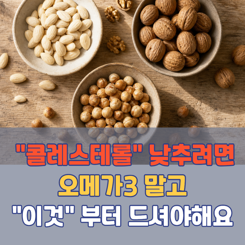 "LDL 콜레스테롤 낮추려면" 오메가3 말고 '이것' 드세요 | 식물스테롤 효능 하루 섭취량