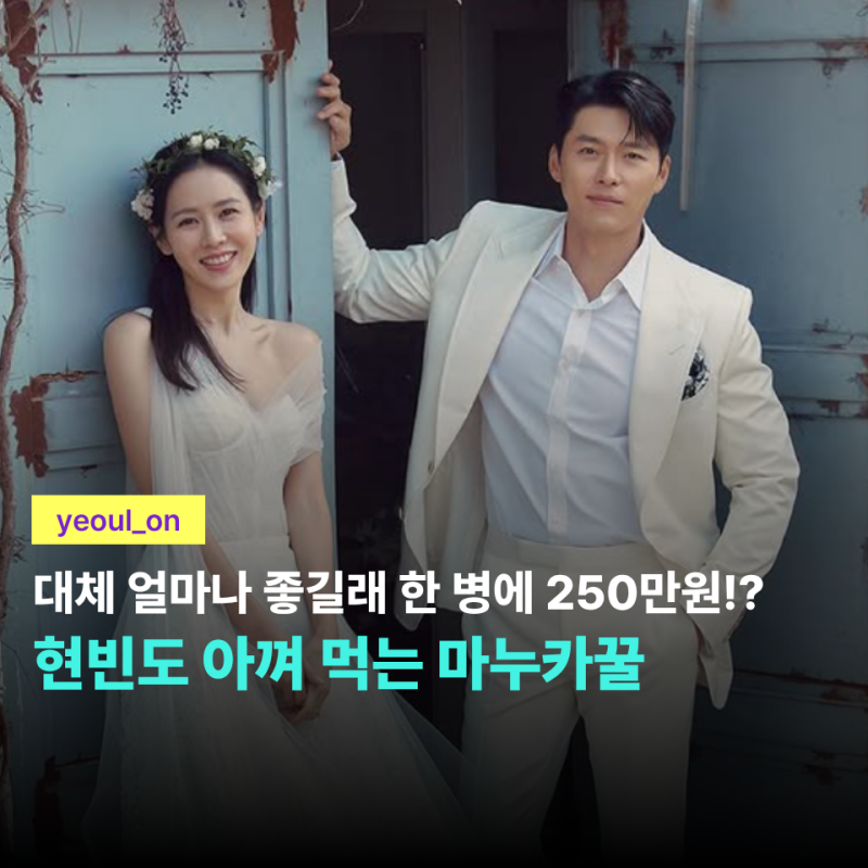 "현빈 몰래 가져왔다" 손예진도 처음 먹어본 250만원 마누카꿀… 효능·부작용은?