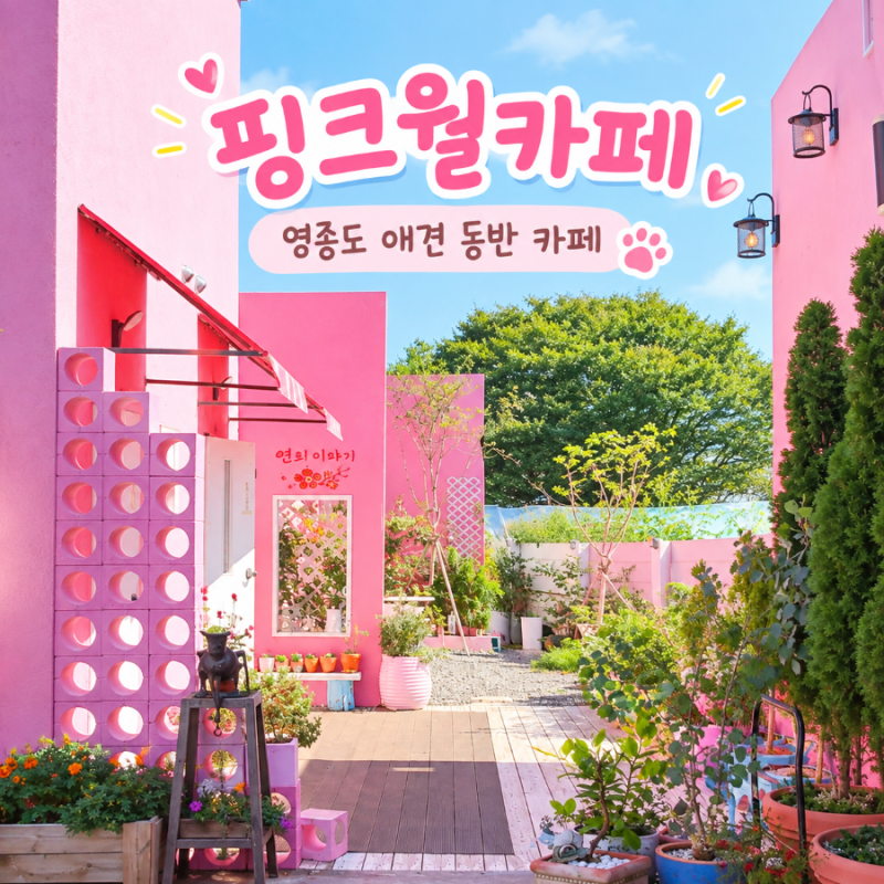 영종도 애견동반 카페 [핑크월카페] 영종도 예쁜 카페 마시안해변카페 을왕리 대형카페