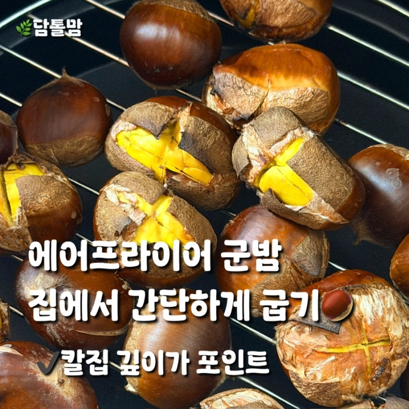 밤줍기 체험 후 집에서 군밤 만들기 에어프라이어로 간단하게 굽는 방법