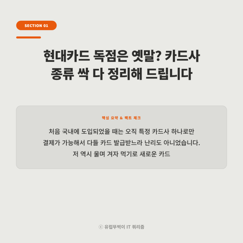 "결국 현대카드만 되는 줄 알았는데" 애플페이 카드사 등록하고 아이폰 교통카드 켜봤다가 ....