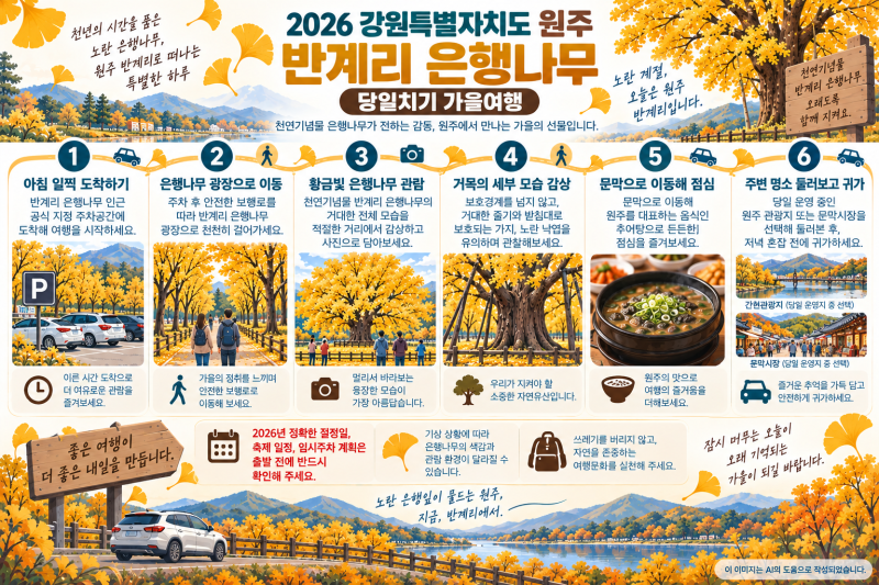 2026 원주 반계리 은행나무 절정 언제? 주차·관람시간·가을 여행코스