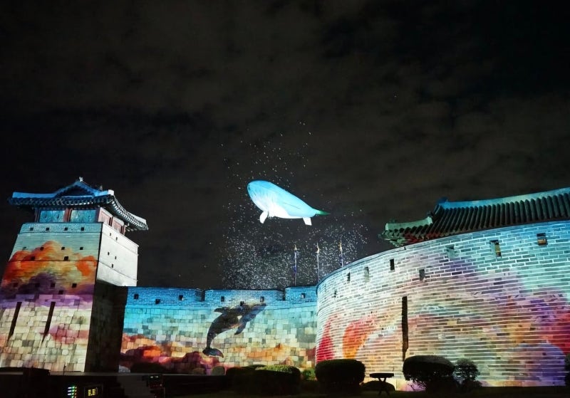 수원화성 미디어아트 2026 일정 프로그램 주차장 총정리! 매년 찾는 프로 참석러의 관람 팁
