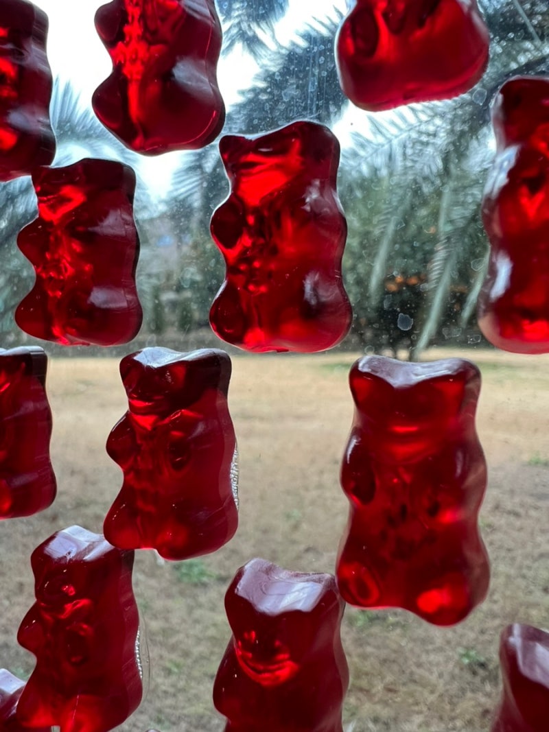 Jeju Island with Kids: Haribo Happy World / Indoor Tourist Spot for Great Photos with Kids