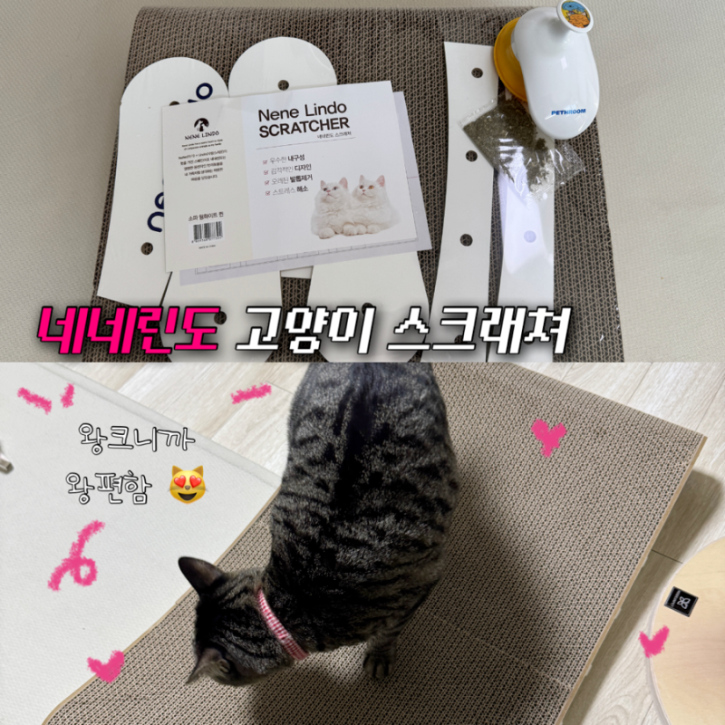 고양이 소파형 스크래쳐 추천 네네린도 솔직후기