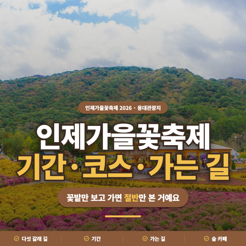 18일동안만 열려요ㅣ인제가을꽃축제 2026 기간·코스·가는 길