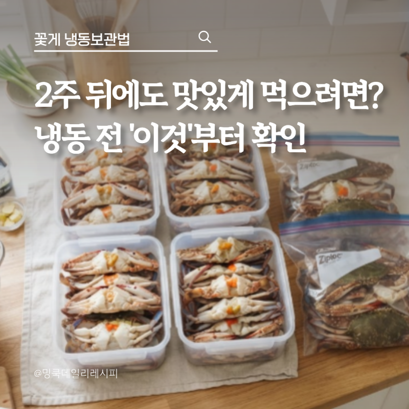 꽃게 냉동보관법, 30대 주부가 2주 뒤 쪄보고 후회한 손질 포인트