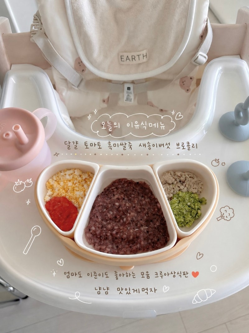 이유식필수템 초기부터 사용하는 모윰 스타터흡착식판
