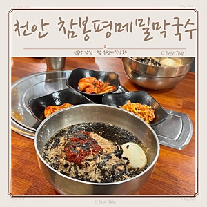 천안 신불당 막국수 맛집 시원한 참봉평메밀막국수