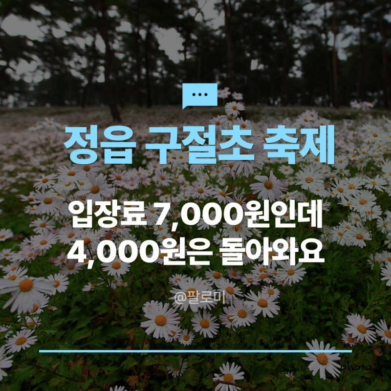 정읍 구절초 축제 개화 시기 맞춰 가는 법, 입장료 7,000원 중 4,000원은 돌려받아요