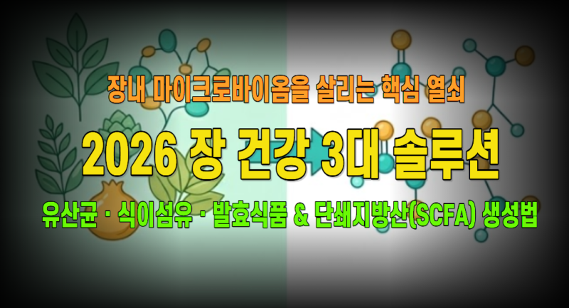 장 건강 2026: 유산균(프로바이오틱스)·식이섬유(프리바이오틱스)·발효식품 3대 축 완벽 비교....