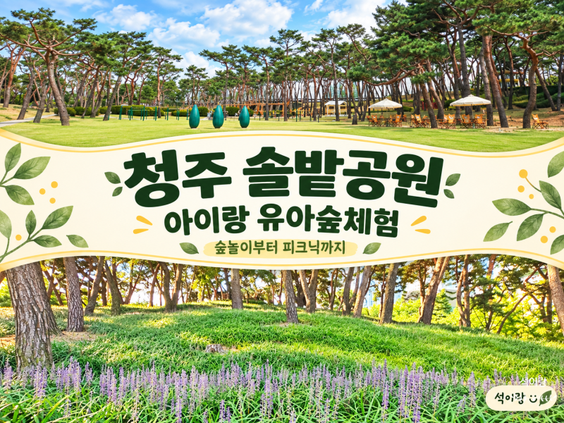 청주 솔밭공원 유아숲체험 후기｜아이랑 가볼 만한 곳, 주차와 피크닉