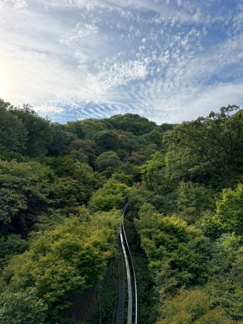 모노레일 없이 유모차로 화담숲 제1구간 산책 / 화담숲 예약 &포토존