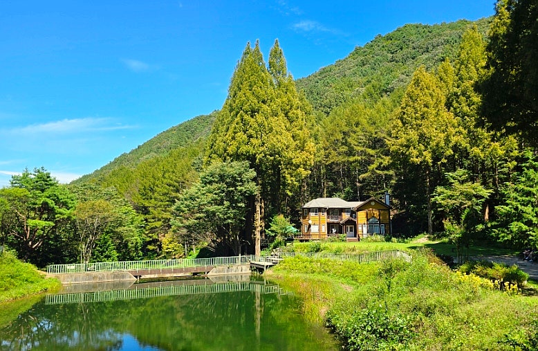 忠清南道論山(ノンサン)の観光スポット「オンピッ自然休養林」 | メタセコイアの森が美しいドラマ撮影地