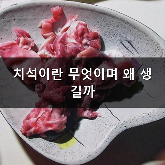치석 제거 왜 생기는 걸까? 올바른 관리 방법과 주기