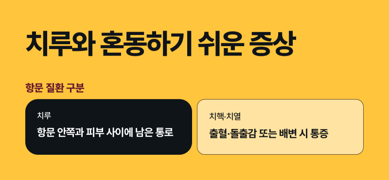 포항 치루 원인, 항문샘 염증과 다른 질환 구분
