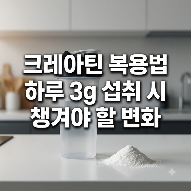 크레아틴 복용법 하루 3g 섭취 시 챙겨야 할 변화