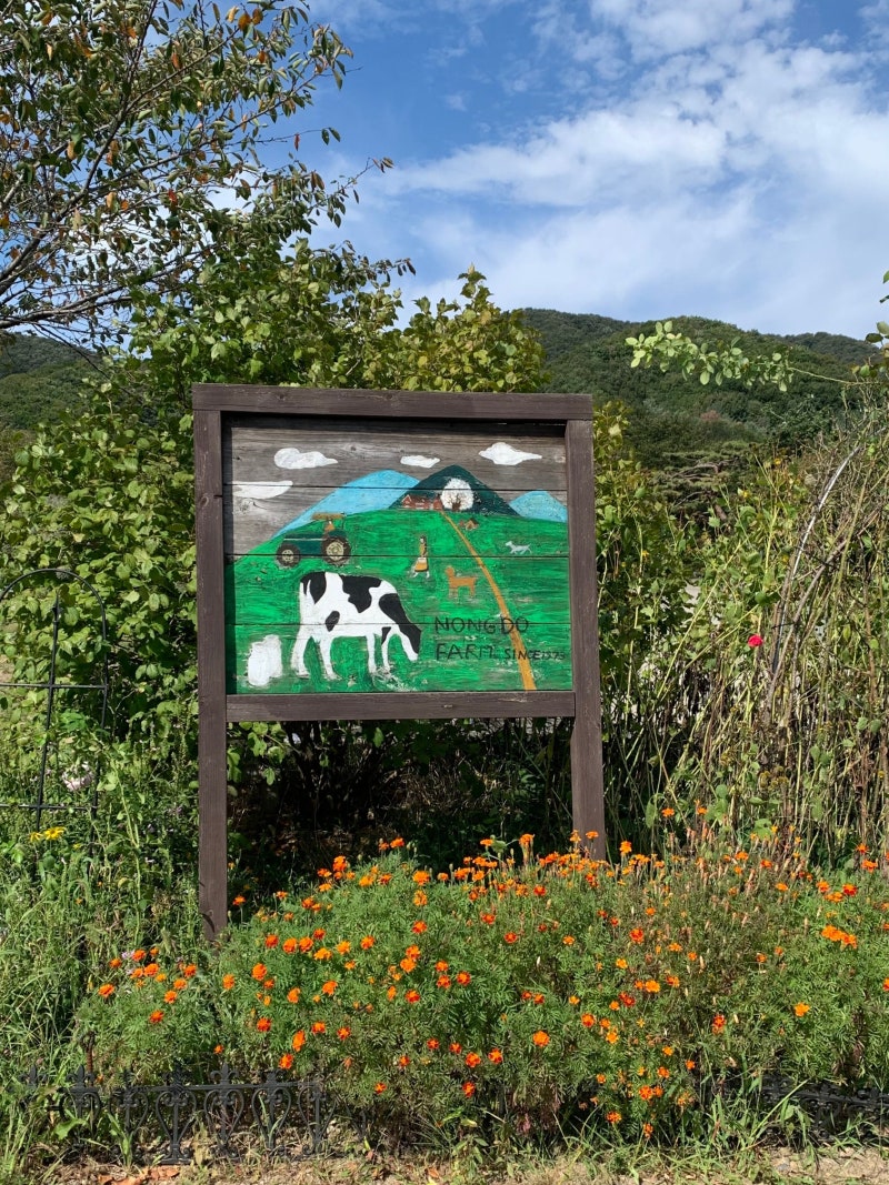 [Yongin Nongdowon Ranch] I Visited the "Hermes of Ranches"