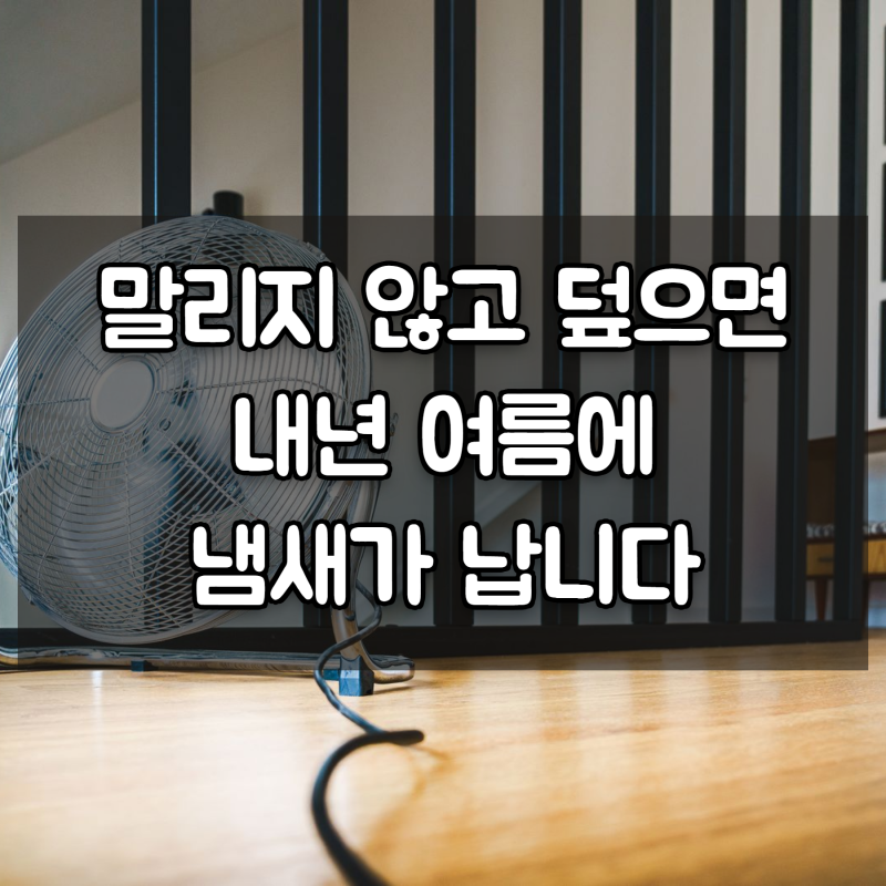 선풍기 에어컨 넣기 전에 이렇게 안하면 내년에 후회합니다. 넣기 전 청소 하는 꿀팁