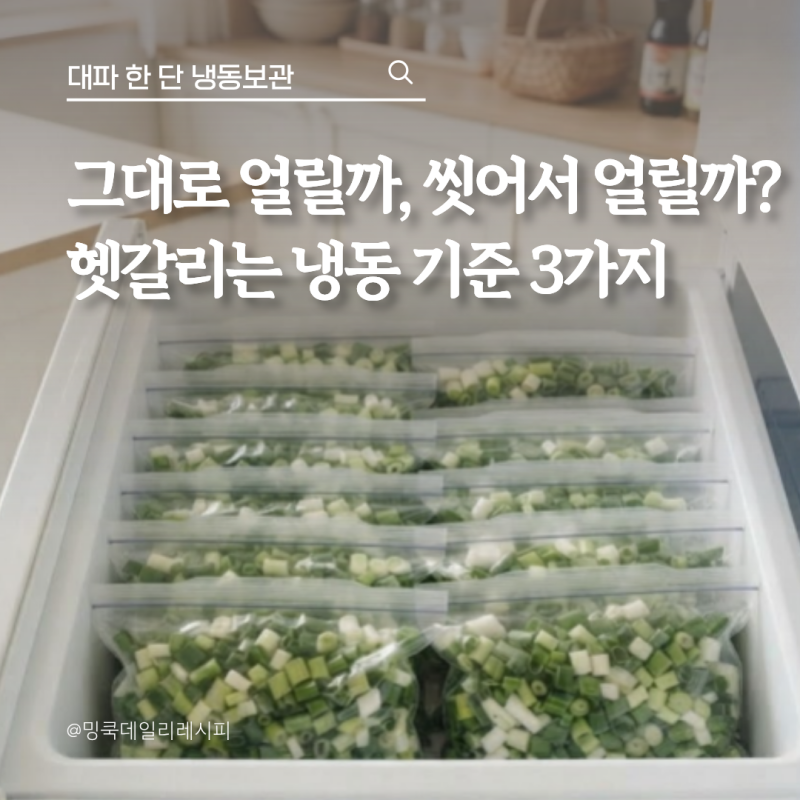 대파 한 단 냉동보관, 씻어서 얼릴까 그대로 얼릴까?