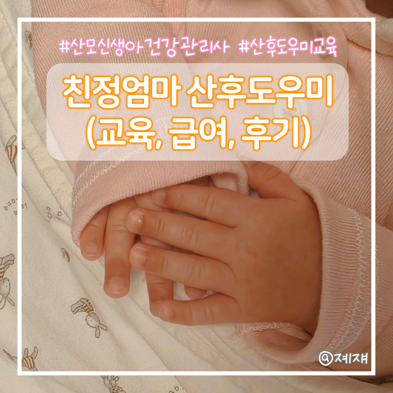 친정엄마 산후도우미 실제 후기 15일 급여부터 장단점까지