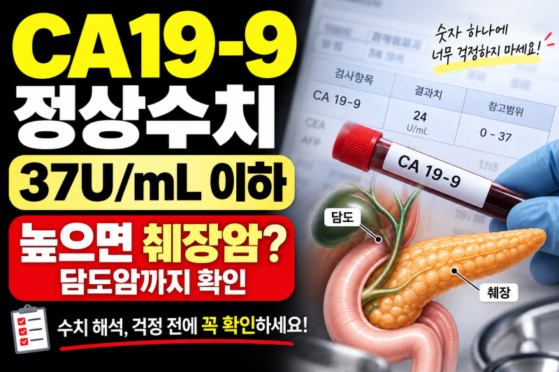 CA19-9 정상수치 37U/mL 이하, 높으면 췌장암·담도암일까?