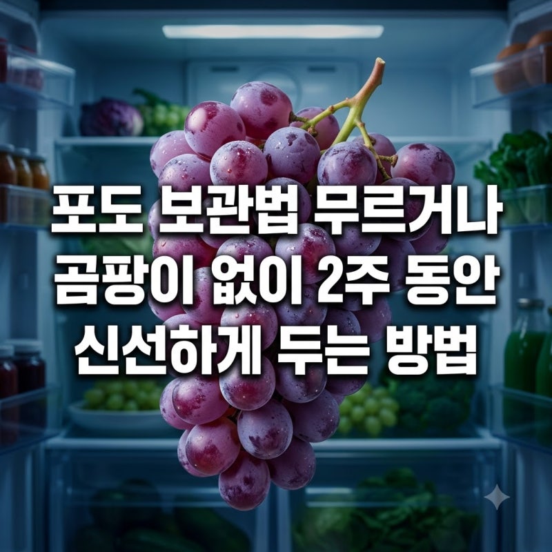 포도 보관법 무르거나 곰팡이 없이 2주 동안 신선하게 두는 방법