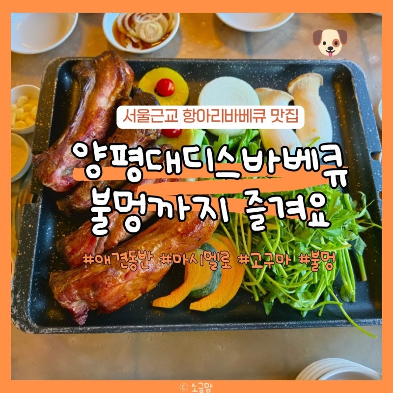 서울근교바베큐 양평 대디스바베큐 예약 웨이팅 메뉴 생일 맛집
