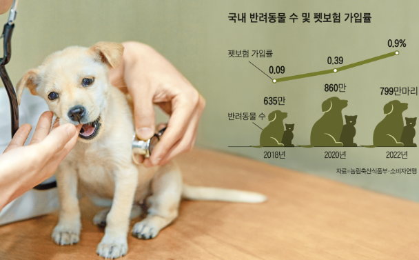 2026 펫보험 가입연령 확대｜강아지·고양이 펫보험 보장한도와 보험료 비교 핵심