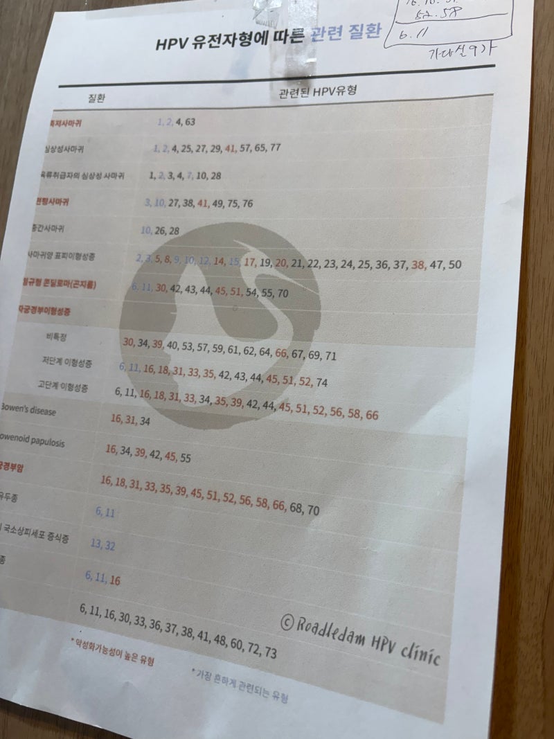 HPV 44번 자궁경부암 발전 가능성과 자연소실률