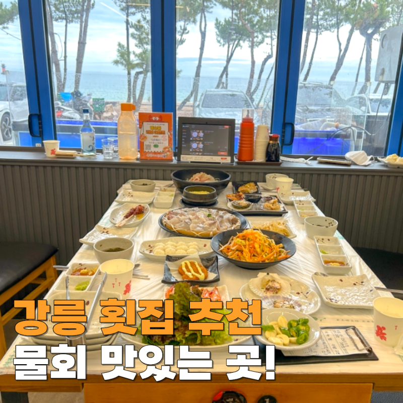 강릉 횟집 추천 경포대 경포해변 근처 삼삼이네 물회 후기
