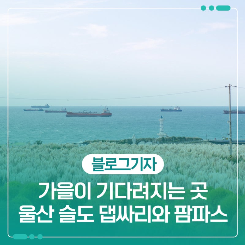 가을이 기다려지는 곳, 울산 슬도에서 만난 댑싸리와 팜파스